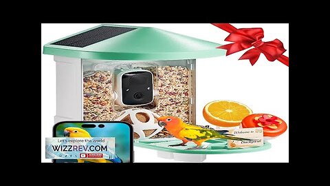 VEVOR Smart Bird Feeder with Camera 2K HD AI Identify Bird Species Review