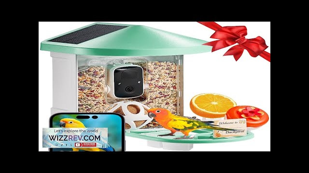 VEVOR Smart Bird Feeder with Camera 2K HD AI Identify Bird Species Review