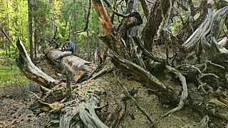 WordHike 109, 1 Ki 9, 2 Chr 8, Ps 134, 146-150, 2 Cor 8