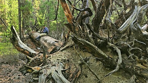 WordHike 109, 1 Ki 9, 2 Chr 8, Ps 134, 146-150, 2 Cor 8