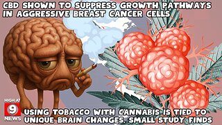 Drinking Cannabis Beverages Reduces Alcohol Use And Improves Sleep, Stress And Mood, New Study Shows