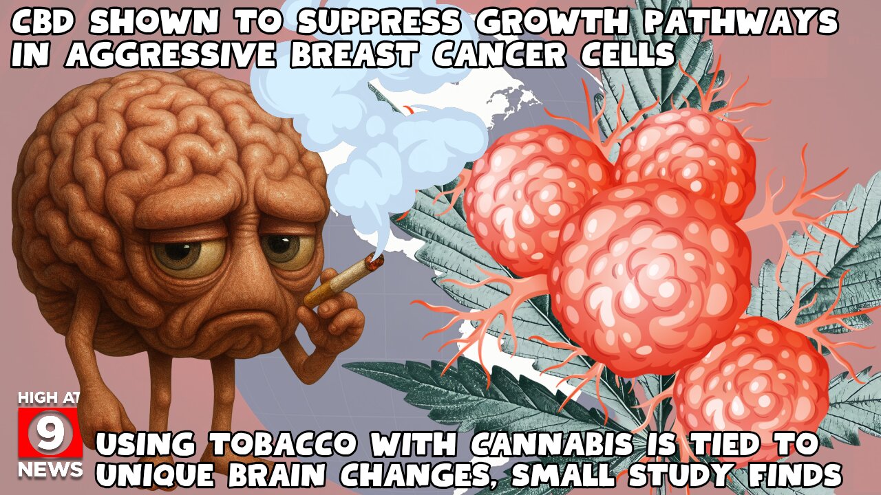 Drinking Cannabis Beverages Reduces Alcohol Use And Improves Sleep, Stress And Mood, New Study Shows