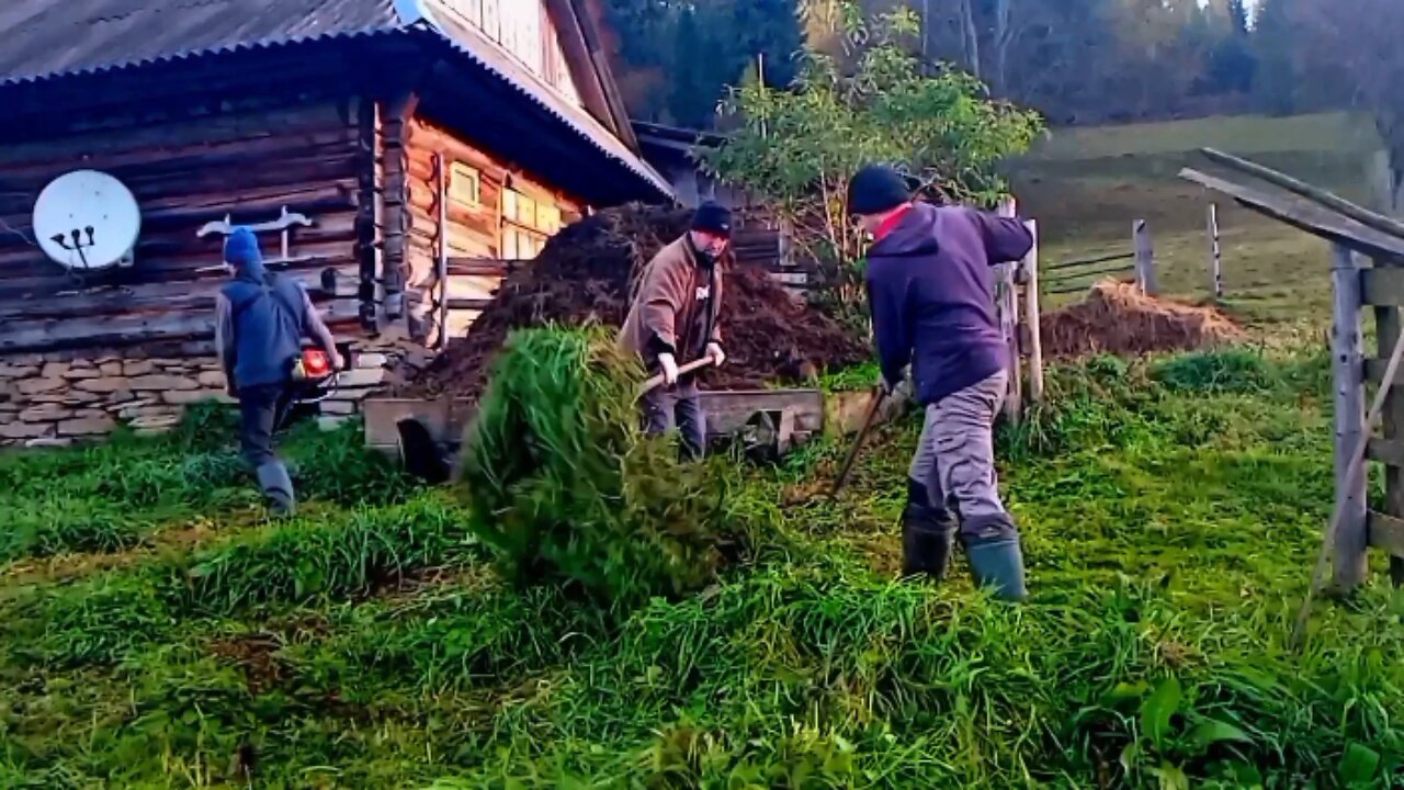 Autumn in the Carpathians: Village Life Before Winter