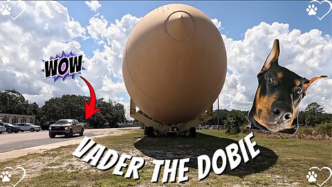 Doberman Port Exploration: Vader’s Green Cove Springs Adventure!