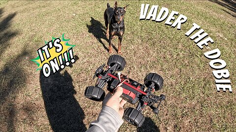 Doberman RC Car Mayhem! 🐾💨 Vader vs The Speed Demon Jukes (Full Chase Rampage!)