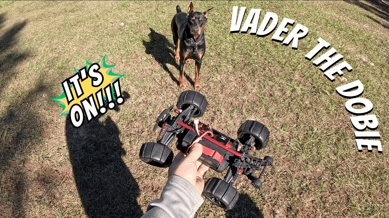 Doberman RC Car Mayhem! 🐾💨 Vader vs The Speed Demon Jukes (Full Chase Rampage!)