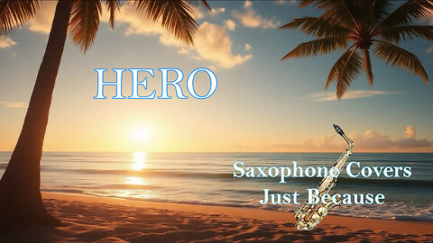 Hero (Saxophone Cover)