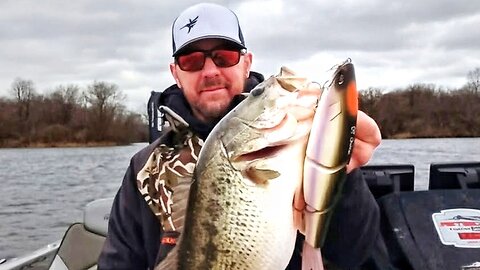WARNING: Most Anglers are Using Big Baits Wrong | Noah Schultz Explains