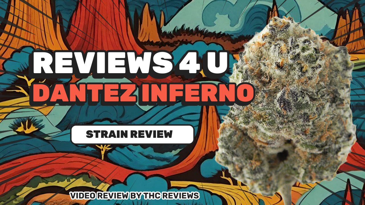 DANTEZ INFERNO (STRAIN REVIEW) | REVIEWS 4 U