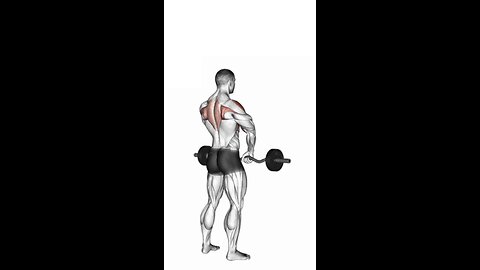 Ez Bar Upright Row Exercise.