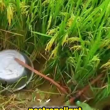 You Won’t Believe These Genius Tools! #LifeHacks #DIYTools