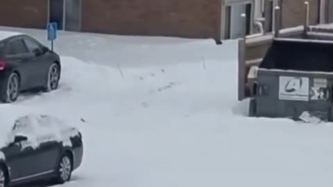 Immigration agents detained a person in Oakdale, MN.