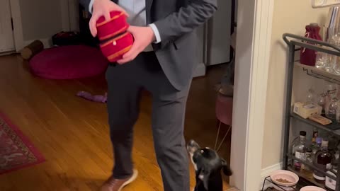 Man Proposes To The Dog Too