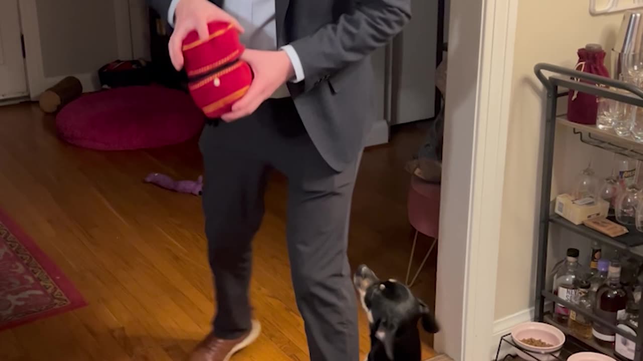 Man Proposes To The Dog Too