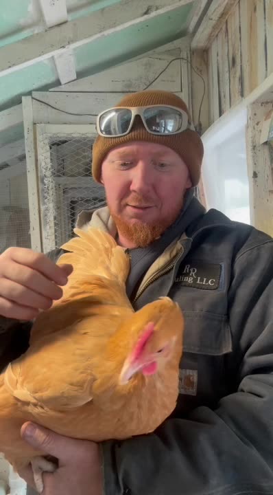 Show you my stash! #farmlife #eggs