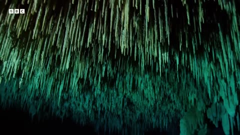 ‎Cave Divers Explore Cenotes of the Yucatán | Wild Mexico | BBC Earth