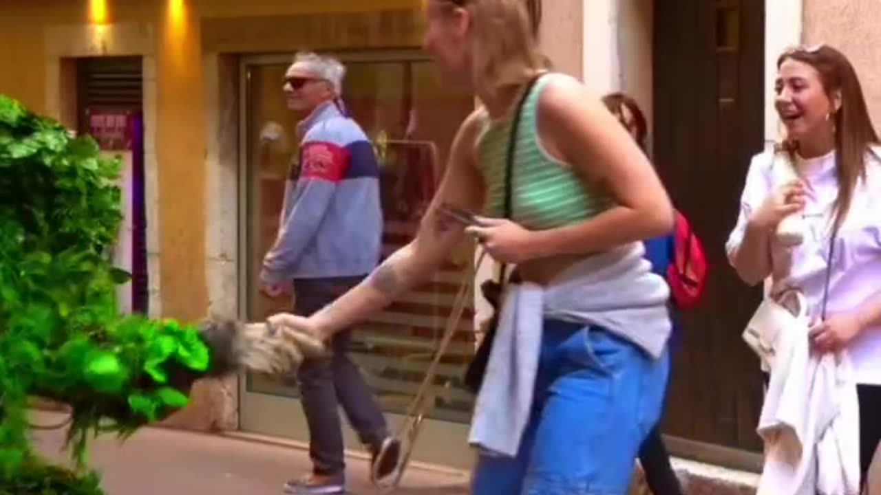 I survived that assault