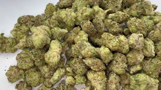 Showing Off Monster Cookies Smalls from SHM! Dankin with the Flamingos!!