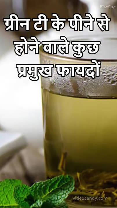 Green Tea Your Daily Dose of Wellness