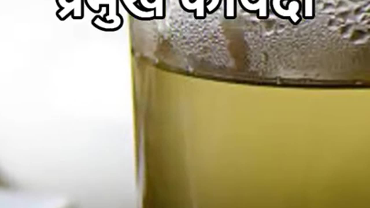 Green Tea Your Daily Dose of Wellness