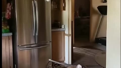 😱👻 3 Videos of Real Demons! | TheHauntingHour