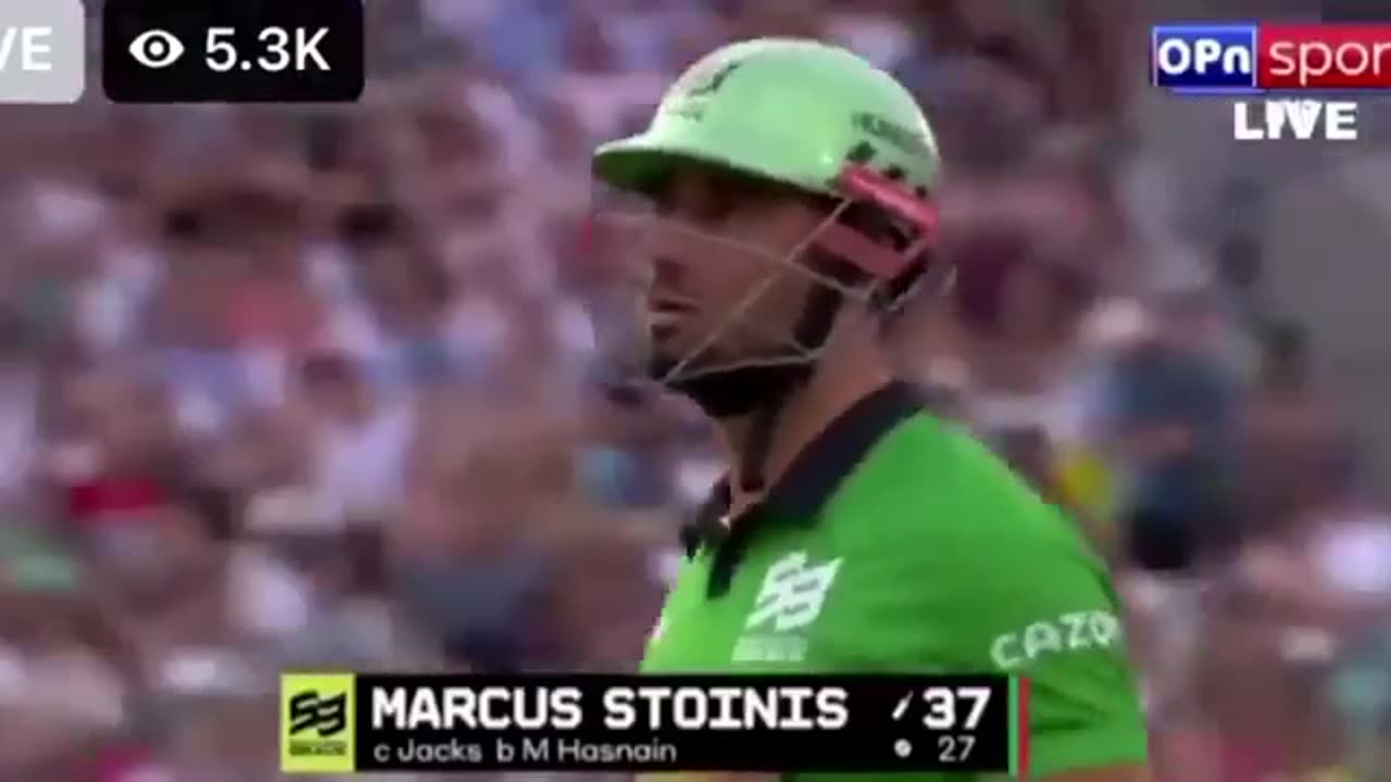 MARCUS STOINIS