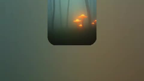 Misty Echoes