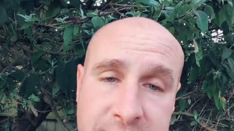 In and out Burger and Affiliate Marketing