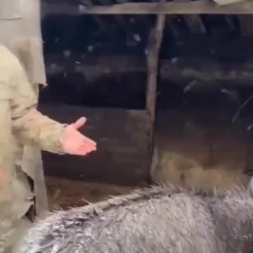 Russian Ass-man Claims There Are No Vehicles in Zaporizhzhia