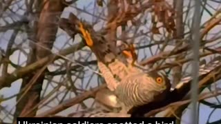 🐦💕 Ukraine Russia War | Ukrainian Warriors Rescue Bird from Drone Cables | RCF