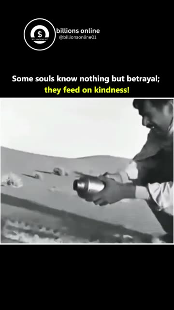 What lesson did kindness teach you the hard way?