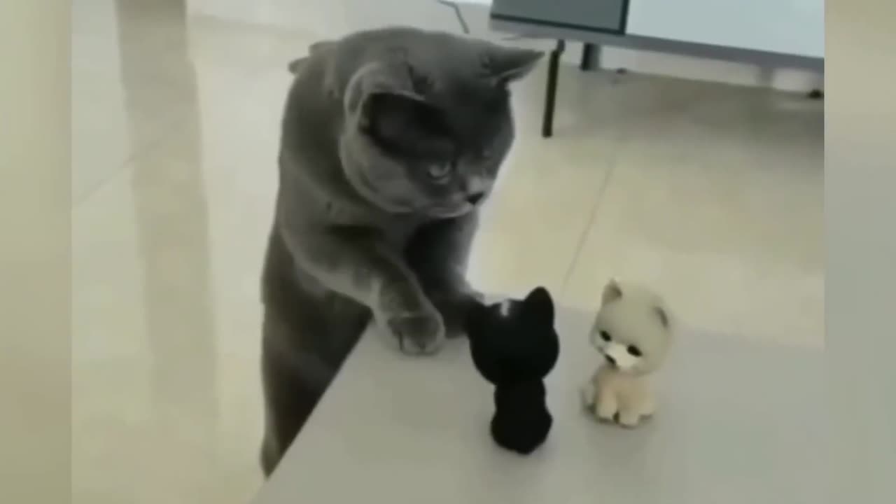 Funniest Animals 2024 π€£π
New Funny Cats and Dogs Videos πΈπΆ Part 5 - 1080
