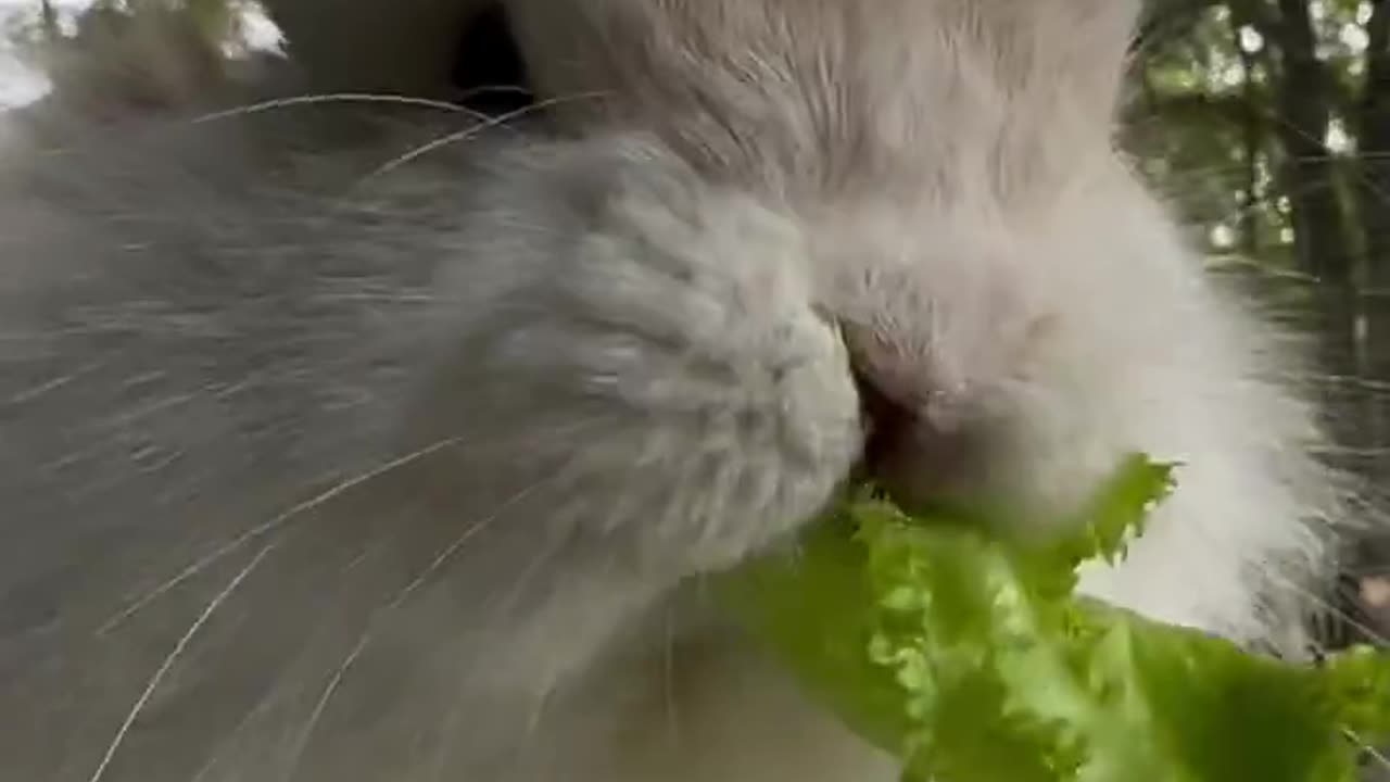 Waiting for some warmer weather so we can hang out on the porch