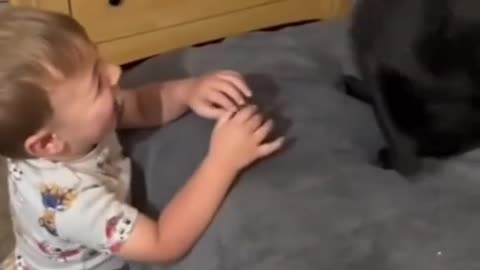 Funny video of cat hitting child as soon as he touches ticket video 2025 skc.com 129