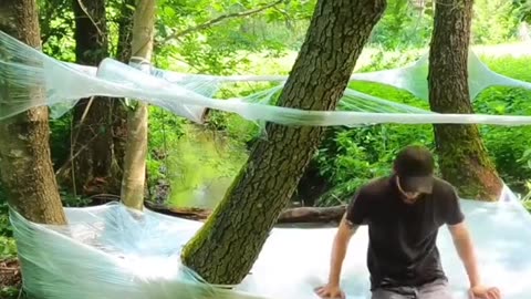 Top 5 Things You Didn’t Know About Treehouse Living