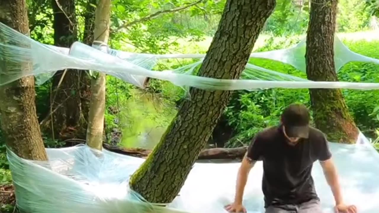 Top 5 Things You Didn’t Know About Treehouse Living