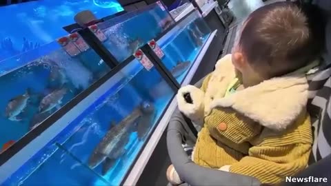 The Best Of The Internet (2024) 🌐🔥 Ultimate Viral Moments Compilation!
