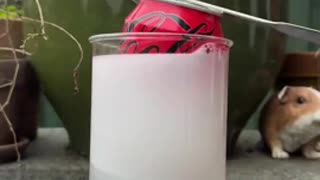 Are Aluminum Cans Really Aluminum?