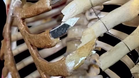 🤯✨ Witness The Incredible Restoration Of Ancient Artifacts! | FeedMyCuriosity