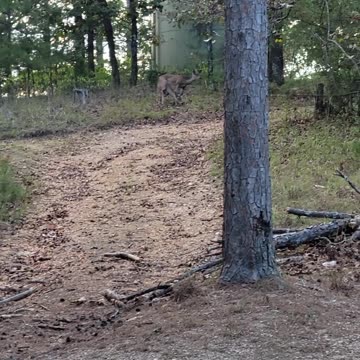 Bevers Bend State Park