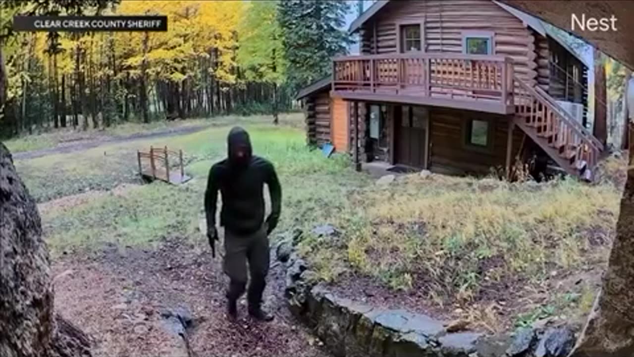🤯✨ Reporter Spots Suspect During Live Broadcast! | FeedMyCuriosity
