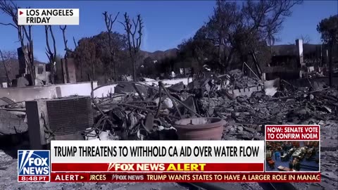 'PUTTING PLANTS OVER PEOPLE'_ California official blasts state's wildfire mismanagement