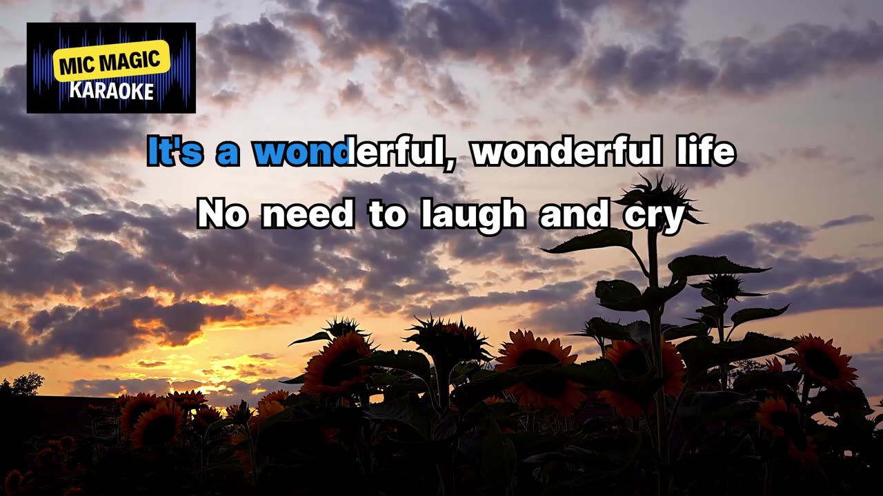 WONDERFUL LIFE - BLACK - BEST HD KARAOKE