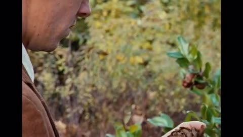 The Lovely Bones (2009) | An Underrated Mystery Horror Gem