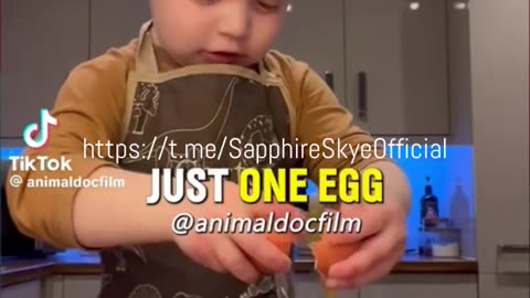 🟪🟡JUST 1 EGG A DAY🟪🟡