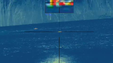 Thermal Triple Takedown: Coyote Stand