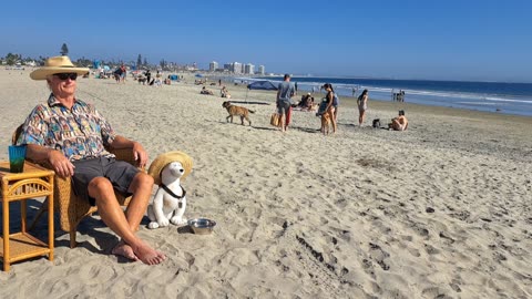 #206 Coronado Dog Beach, Coronado Island, California.