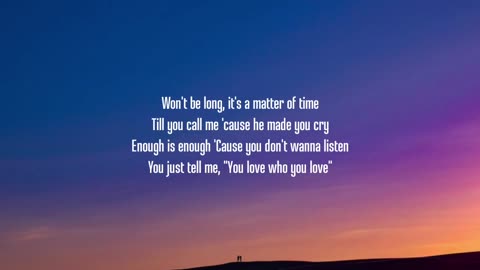 Zara Larsson - You Love Who You Love (Lyrics)