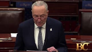 Schumer privately fought to extend government shutdown