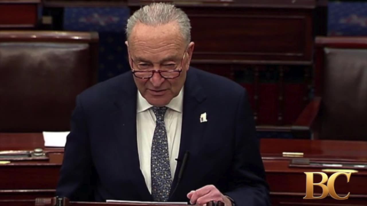 Schumer privately fought to extend government shutdown